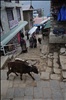 Downtown Namche Bazaar